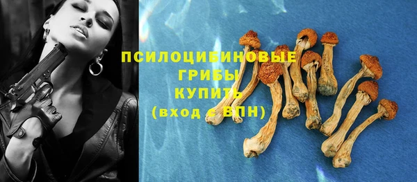 mix Абаза